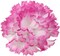 100-Pack White & Pink Artificial Carnation Flowers - Silk Faux Carnation Picks in Bulk, Perfect for DIY Weddings, Bouquets, Party & Event Decor, Home Accents, Floral Home by Artificial Flowers